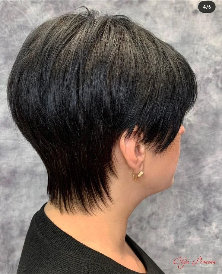 Pixie-bob corto con volumen compacto en la zona superior