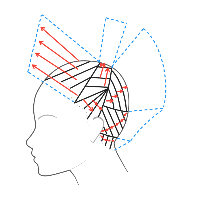 Esquema para el corte pixie‑bob.