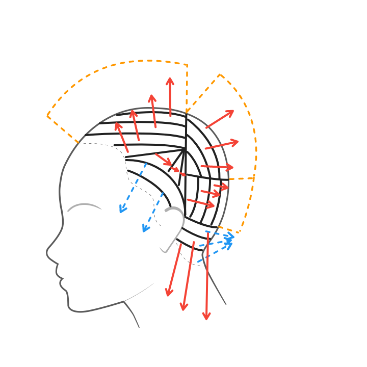 Esquema para el corte de pelo mencionado anteriormente.